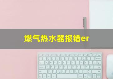 燃气热水器报错er