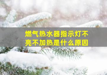 燃气热水器指示灯不亮不加热是什么原因