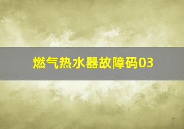 燃气热水器故障码03