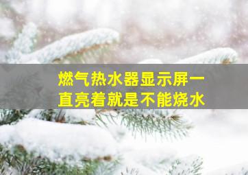 燃气热水器显示屏一直亮着就是不能烧水