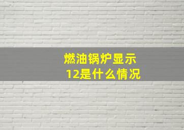 燃油锅炉显示12是什么情况