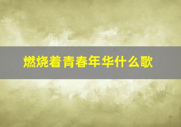 燃烧着青春年华什么歌