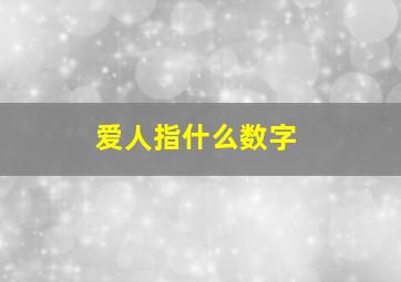 爱人指什么数字