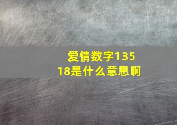 爱情数字13518是什么意思啊