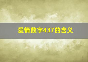 爱情数字437的含义