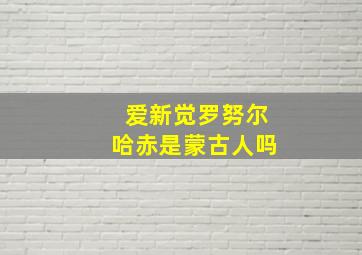 爱新觉罗努尔哈赤是蒙古人吗