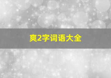 爽2字词语大全