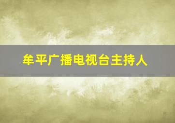 牟平广播电视台主持人