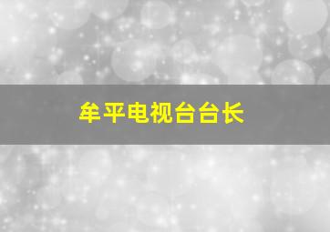 牟平电视台台长