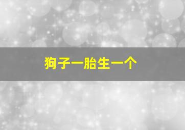 狗子一胎生一个