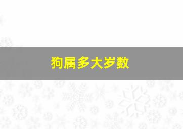 狗属多大岁数