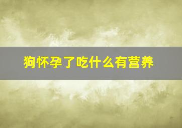 狗怀孕了吃什么有营养