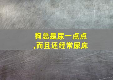 狗总是尿一点点,而且还经常尿床