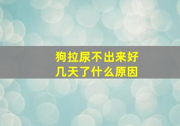 狗拉尿不出来好几天了什么原因