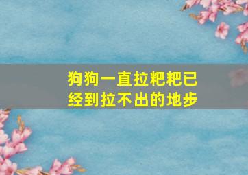 狗狗一直拉粑粑已经到拉不出的地步