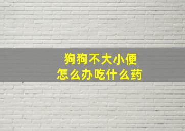 狗狗不大小便怎么办吃什么药