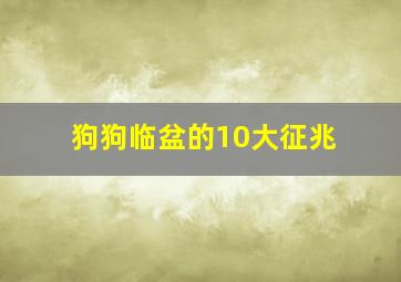 狗狗临盆的10大征兆