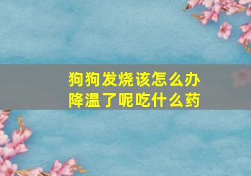 狗狗发烧该怎么办降温了呢吃什么药