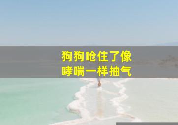 狗狗呛住了像哮喘一样抽气