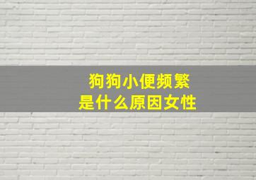 狗狗小便频繁是什么原因女性