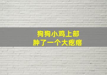 狗狗小鸡上部肿了一个大疙瘩