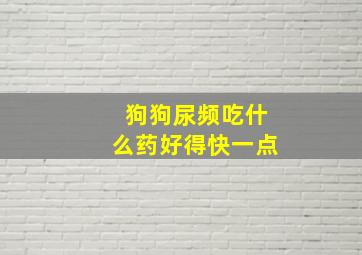 狗狗尿频吃什么药好得快一点