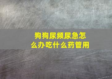 狗狗尿频尿急怎么办吃什么药管用