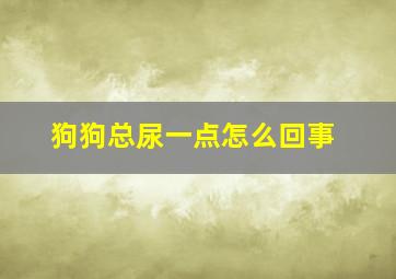 狗狗总尿一点怎么回事