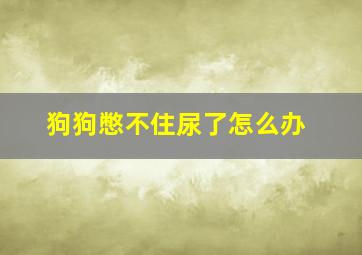 狗狗憋不住尿了怎么办