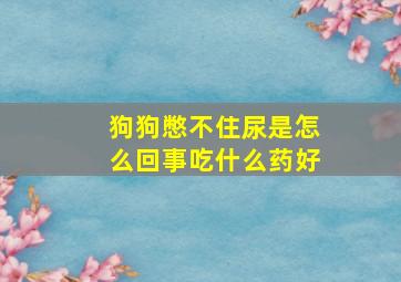 狗狗憋不住尿是怎么回事吃什么药好