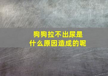 狗狗拉不出尿是什么原因造成的呢