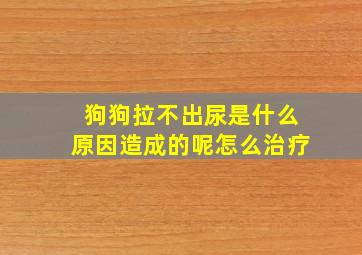 狗狗拉不出尿是什么原因造成的呢怎么治疗