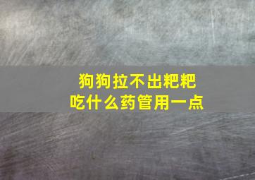 狗狗拉不出粑粑吃什么药管用一点