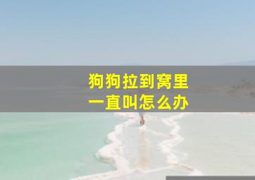 狗狗拉到窝里一直叫怎么办