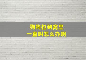 狗狗拉到窝里一直叫怎么办啊