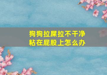 狗狗拉屎拉不干净粘在屁股上怎么办