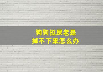 狗狗拉屎老是掉不下来怎么办