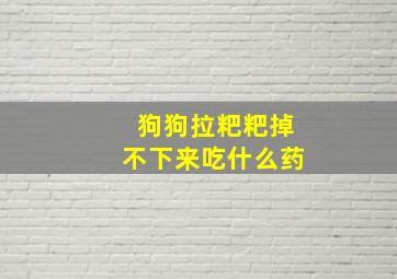 狗狗拉粑粑掉不下来吃什么药