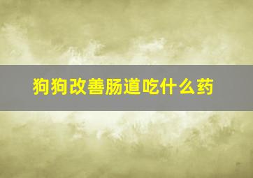 狗狗改善肠道吃什么药