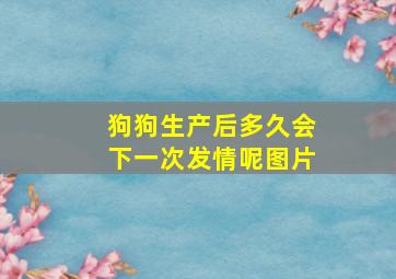 狗狗生产后多久会下一次发情呢图片