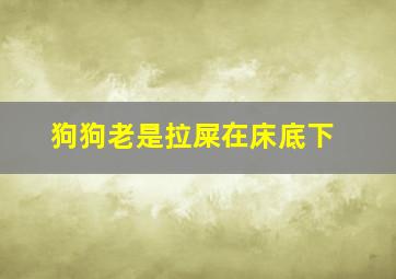 狗狗老是拉屎在床底下