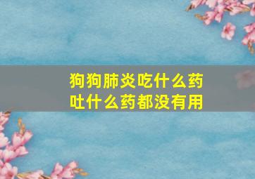 狗狗肺炎吃什么药吐什么药都没有用