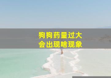 狗狗药量过大会出现啥现象