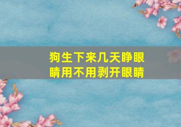 狗生下来几天睁眼睛用不用剥开眼睛