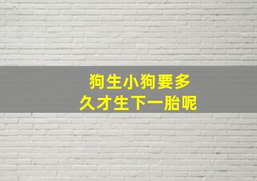 狗生小狗要多久才生下一胎呢