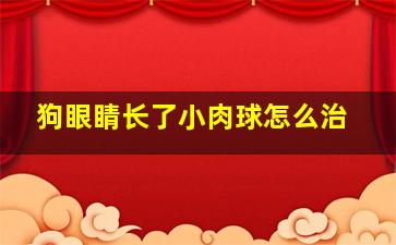 狗眼睛长了小肉球怎么治