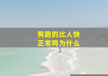 狗跑的比人快正常吗为什么