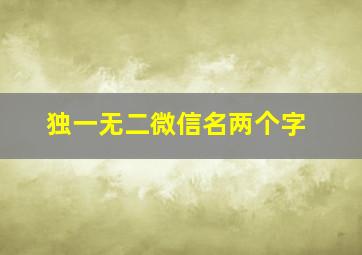 独一无二微信名两个字