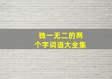 独一无二的两个字词语大全集