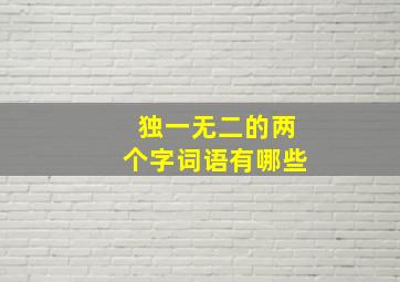 独一无二的两个字词语有哪些